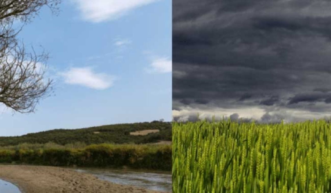 Emergencia climática