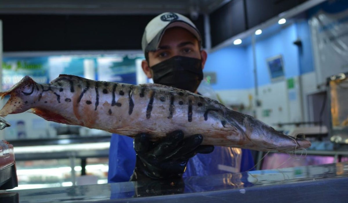 Exportación de pescado