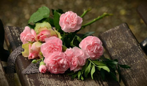 Flores