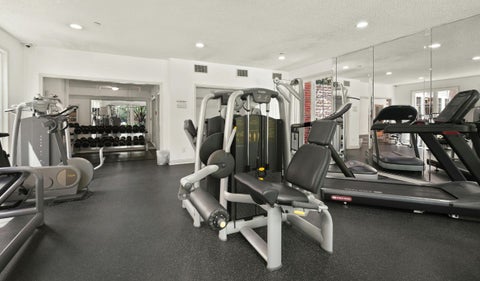 Gimnasio