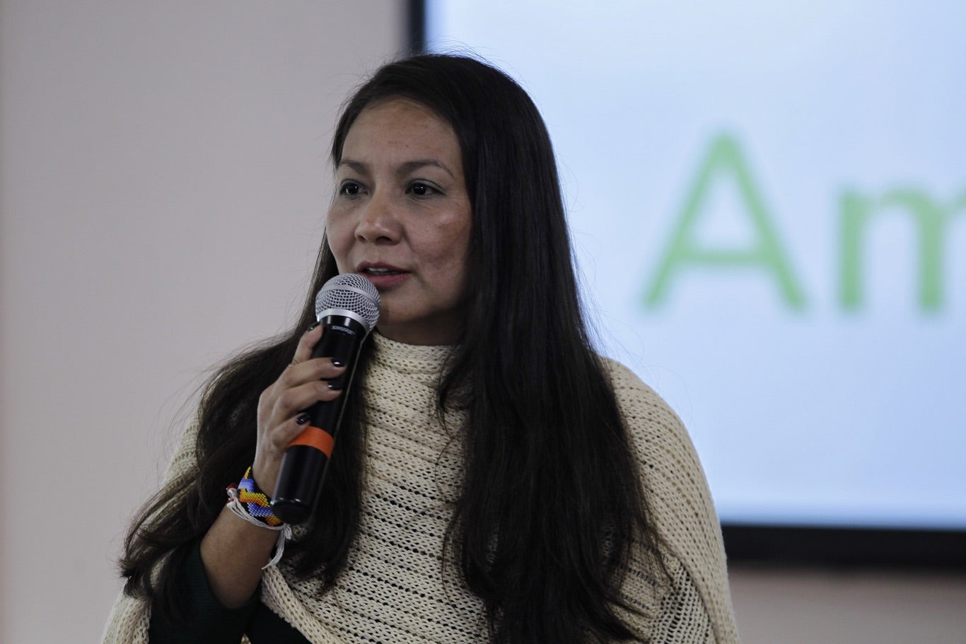Ministra de ambiente, Lena Estrada