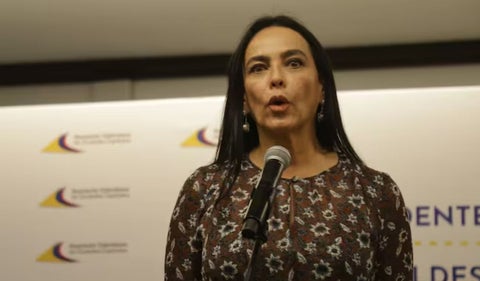 Luz María Zapata, exdirectora de Asocapitales