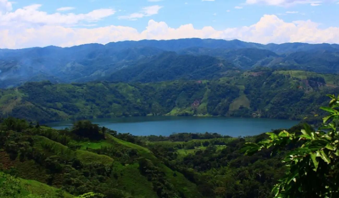 Norcasia 