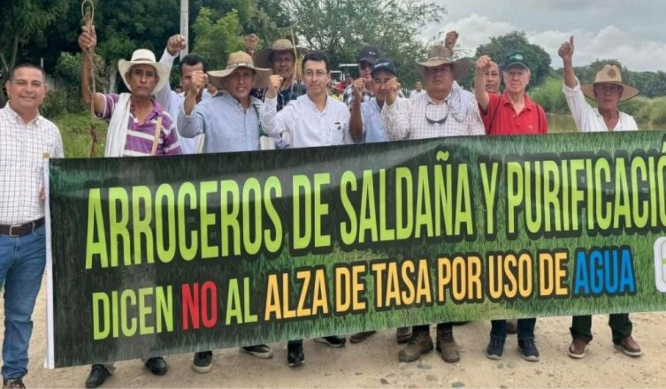 Paro arrocero