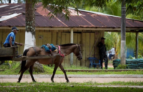 Municipio de Calamar | Guaviare | Octubre 2018