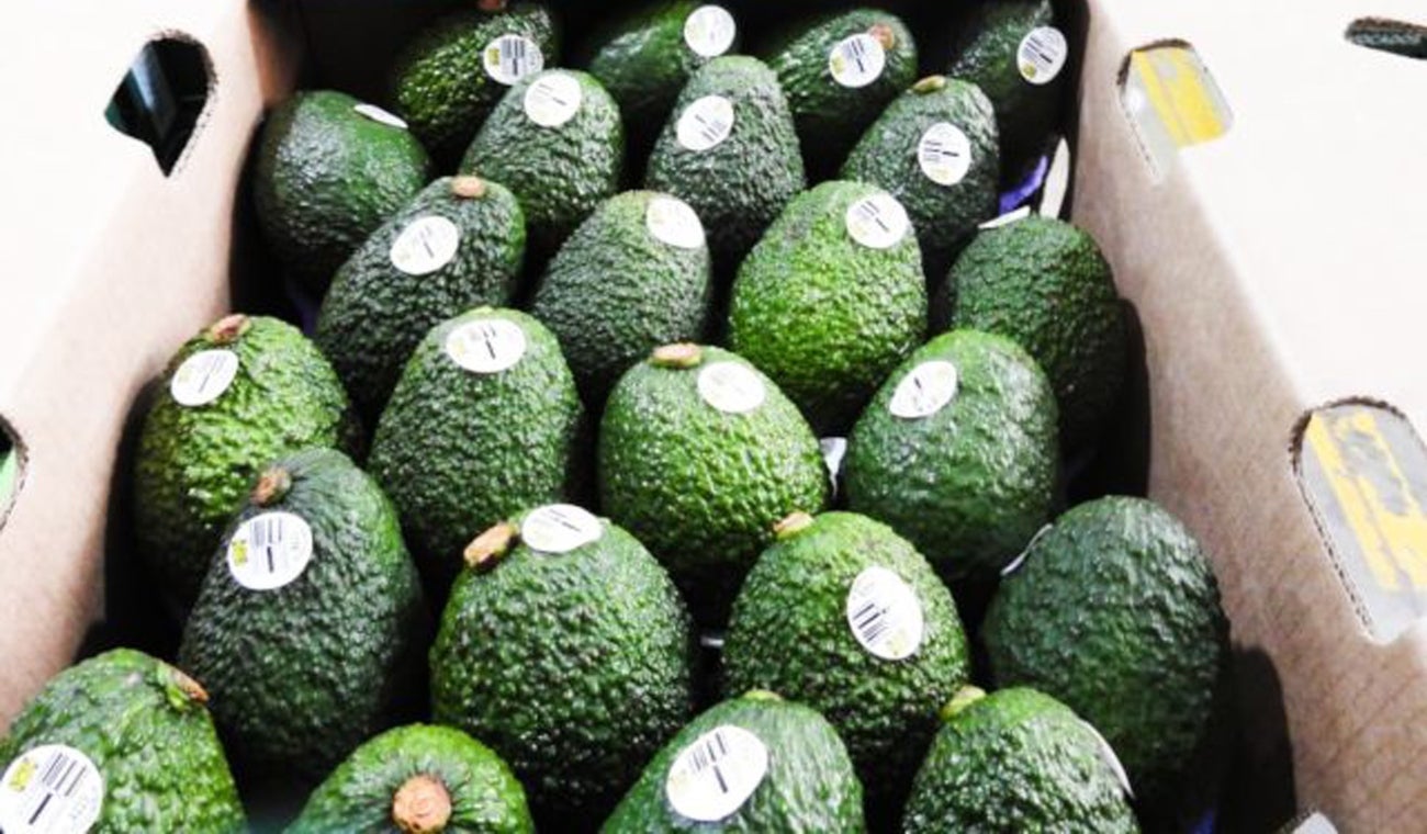 Aguacate colombiano está en jaque por los aranceles de Trump