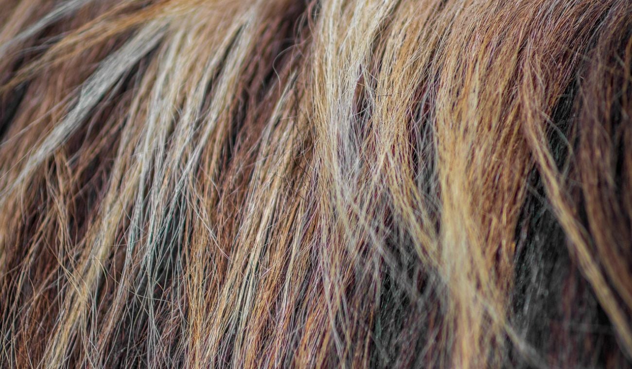 CAÍDA del CABELLO: causas y solución, según expertos