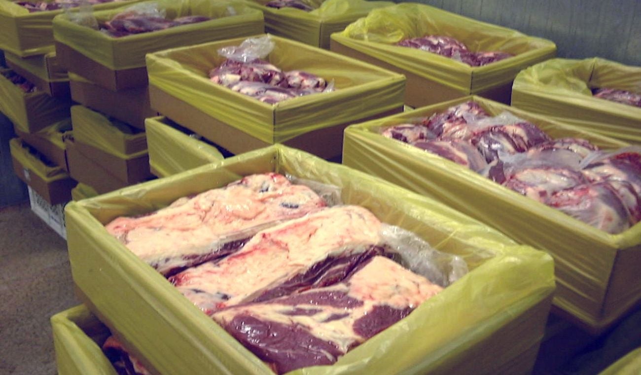 Carne