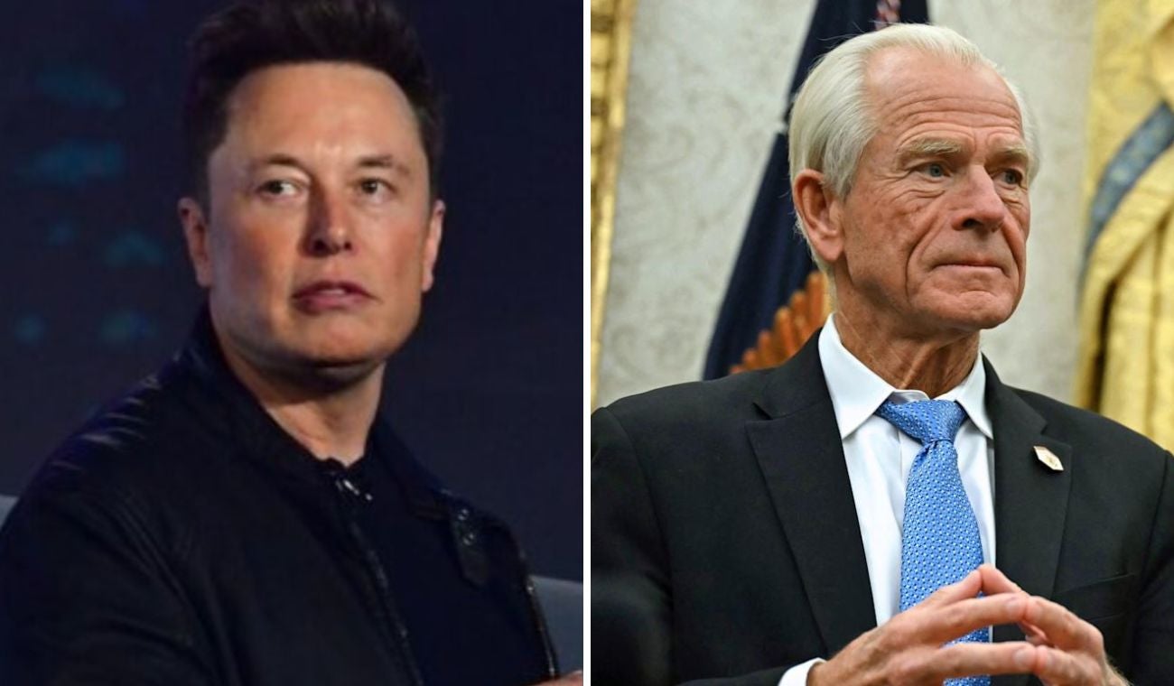 Elon Musk y Peter Navarro