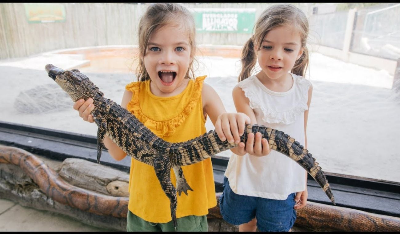 Everglades Alligator Farm