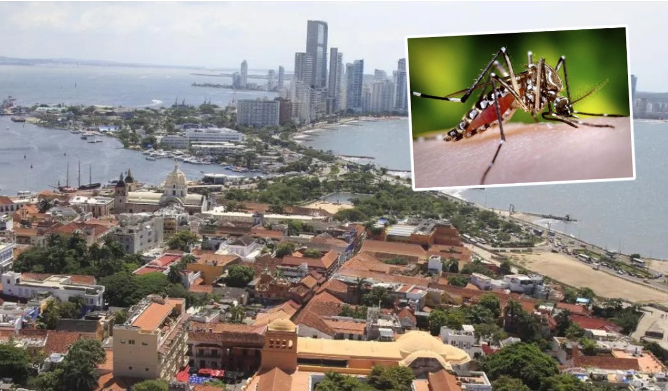 Fiebre amarilla golpea al turismo en Colombia