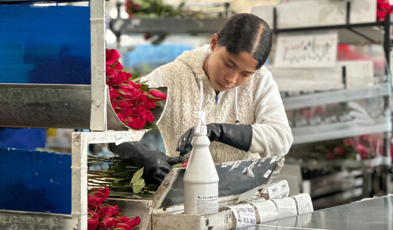 Las flores colombianas