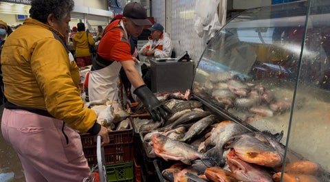 Clientes comprando su pescado en Semana Santa