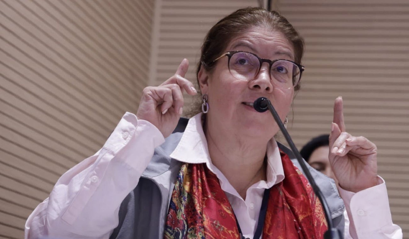 Alejandra Barrios, directora de la MOE