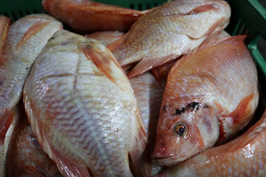Pescado en Semana Santa