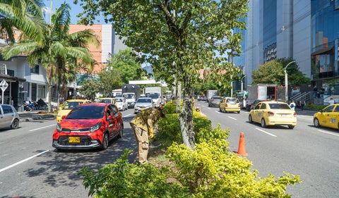 PICO y PLACA en MEDELLÍN