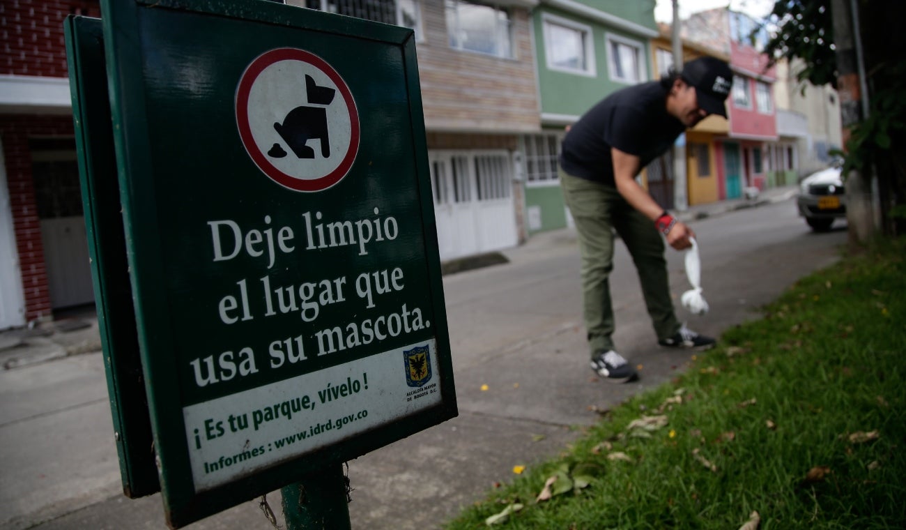 Multa por no recoger los desechos de su perro: ¡ojo!