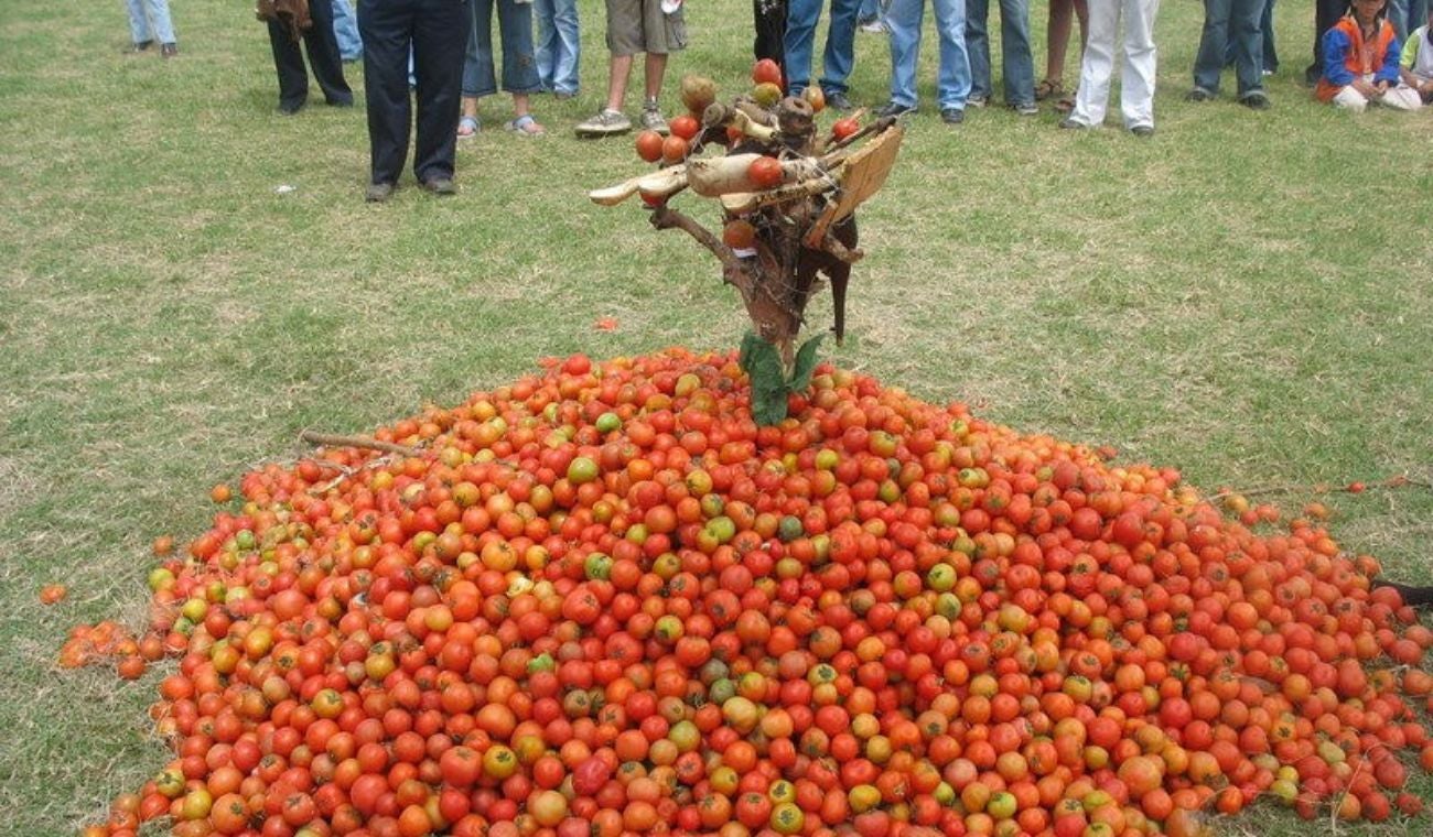 La Tomatina colombiana en 2025