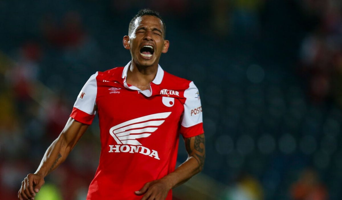 Wilder Medina