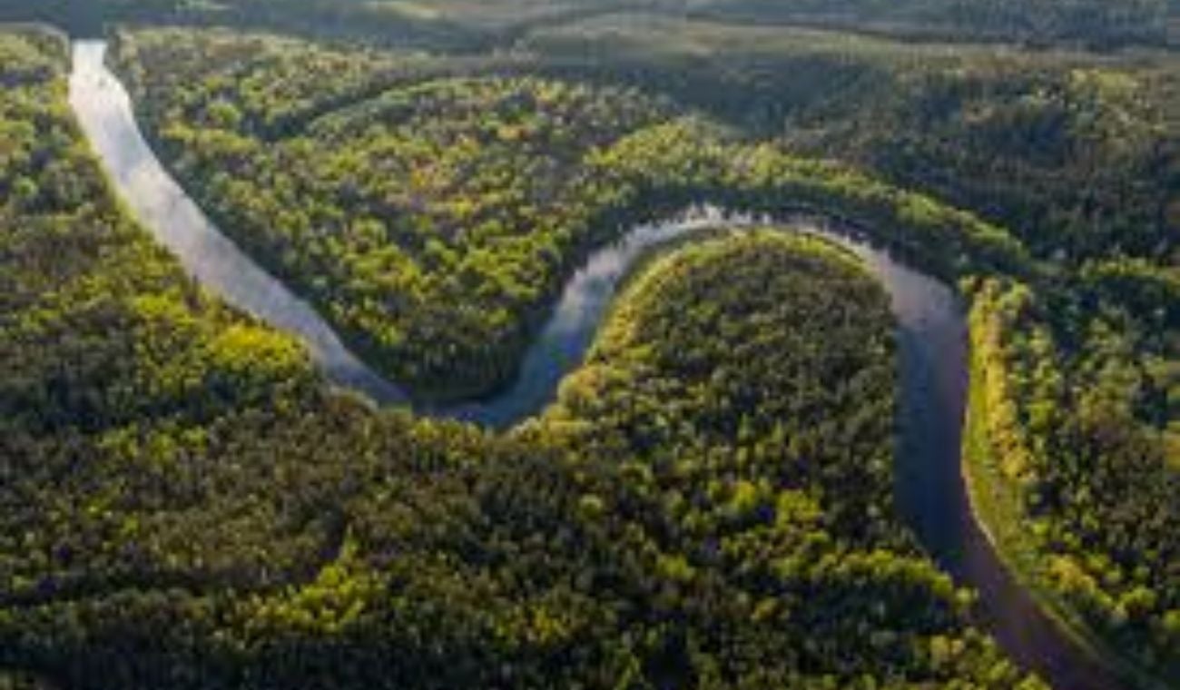 Río Amazonas