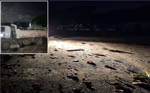 Atentado Patía, Cauca
