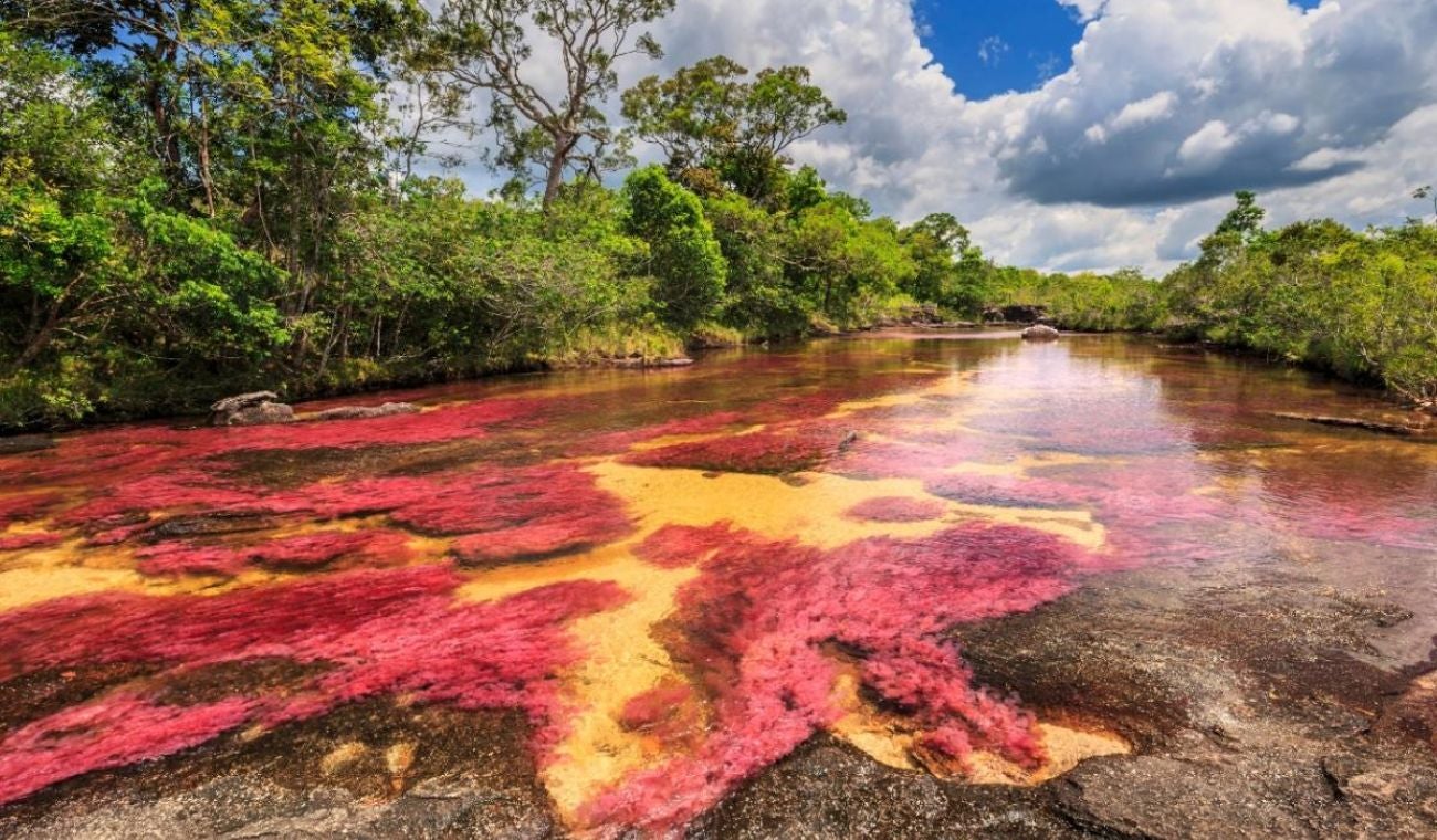 DESTINO de Colombia, entre las grandes MARAVILLAS del mundo