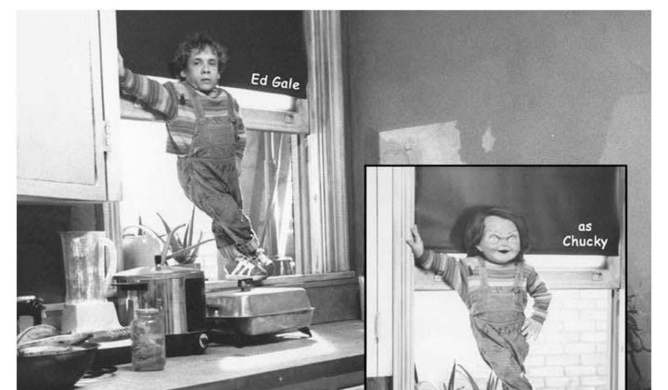 Ed Gale