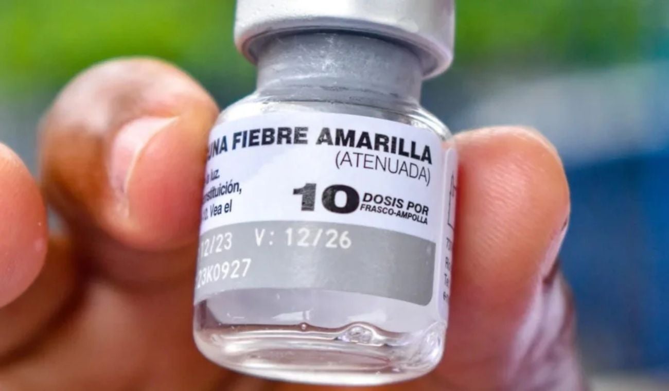 Fiebre amarilla