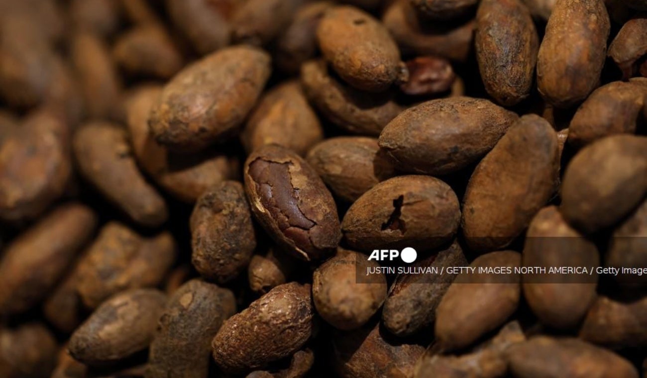 Granos de cacao
