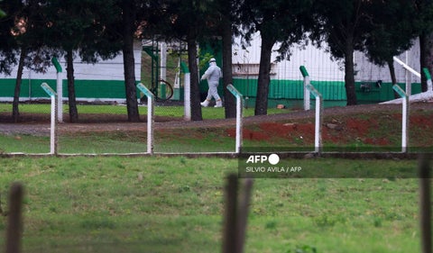 Gripe aviar Brasil