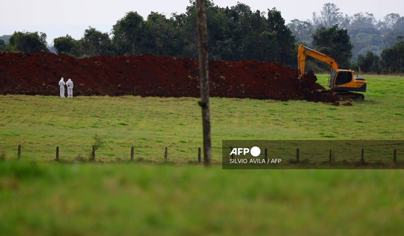 Brasil suspende exportación de pollo por gripe aviar