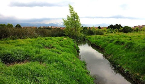 Humedales