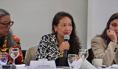 Lena Yanina Estrada Añokazi
