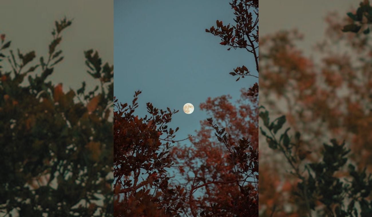 La luna de flores en Colombia