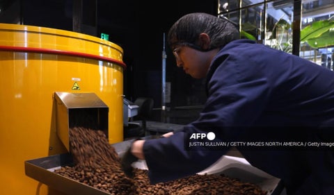Producción de cacao