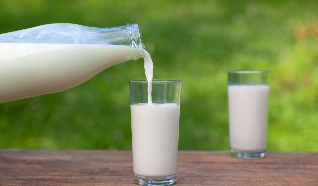 Tipos de LECHE SALUDABLES con más proteínas, según expertos