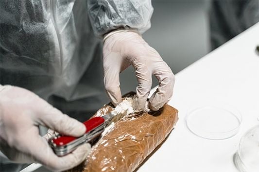 Foto: En 2024, el 84% de las muestras incautadas y analizadas por el Programa de Firma de Cocaína (CSP) eran colombianas.
