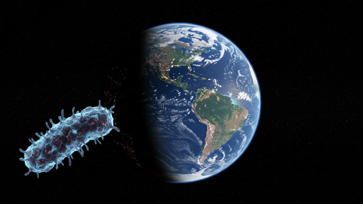 Bacteria en el espacio