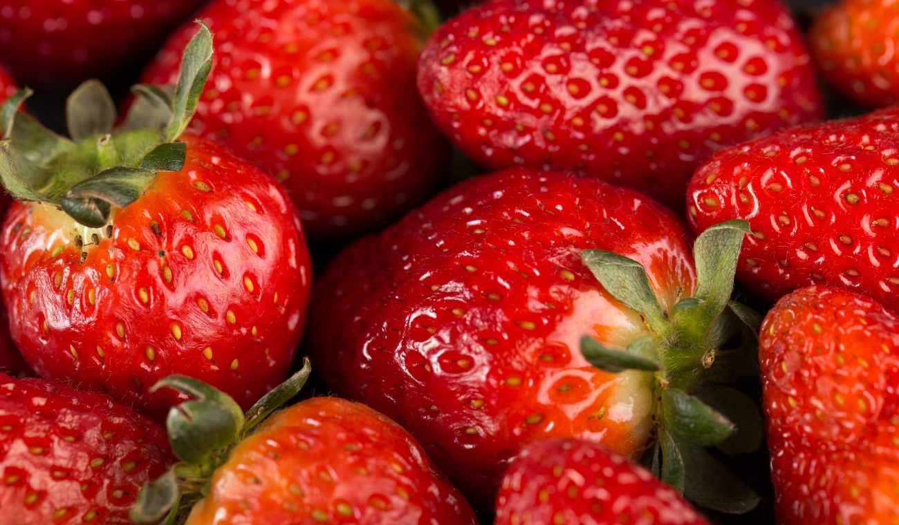 Dónde guardar las FRESAS para que no se DAÑEN y DUREN más