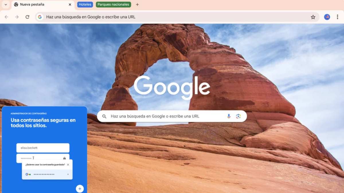 Google Chrome