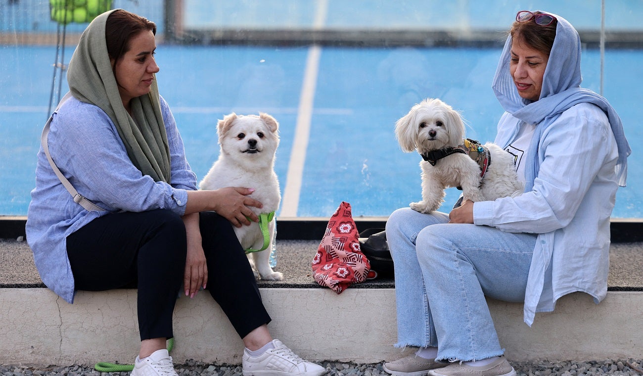 Irán prohibiría sacar perros a pasear