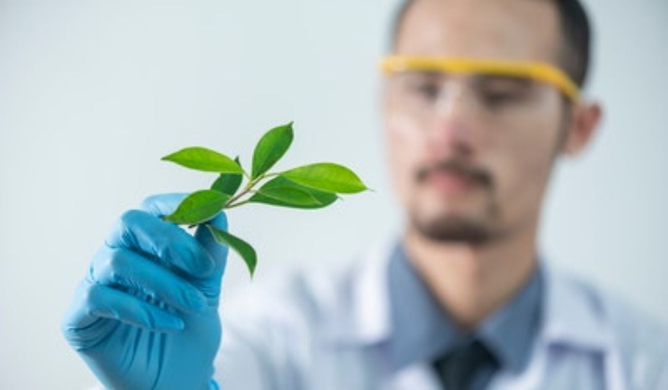 Licenciatura en ciencias naturales