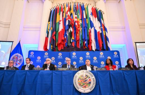 Organización de los Estados Americanos