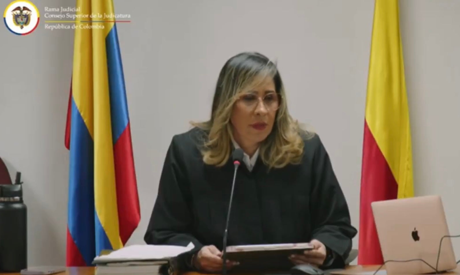 Juez penal 44, Sandra Liliana Heredia.