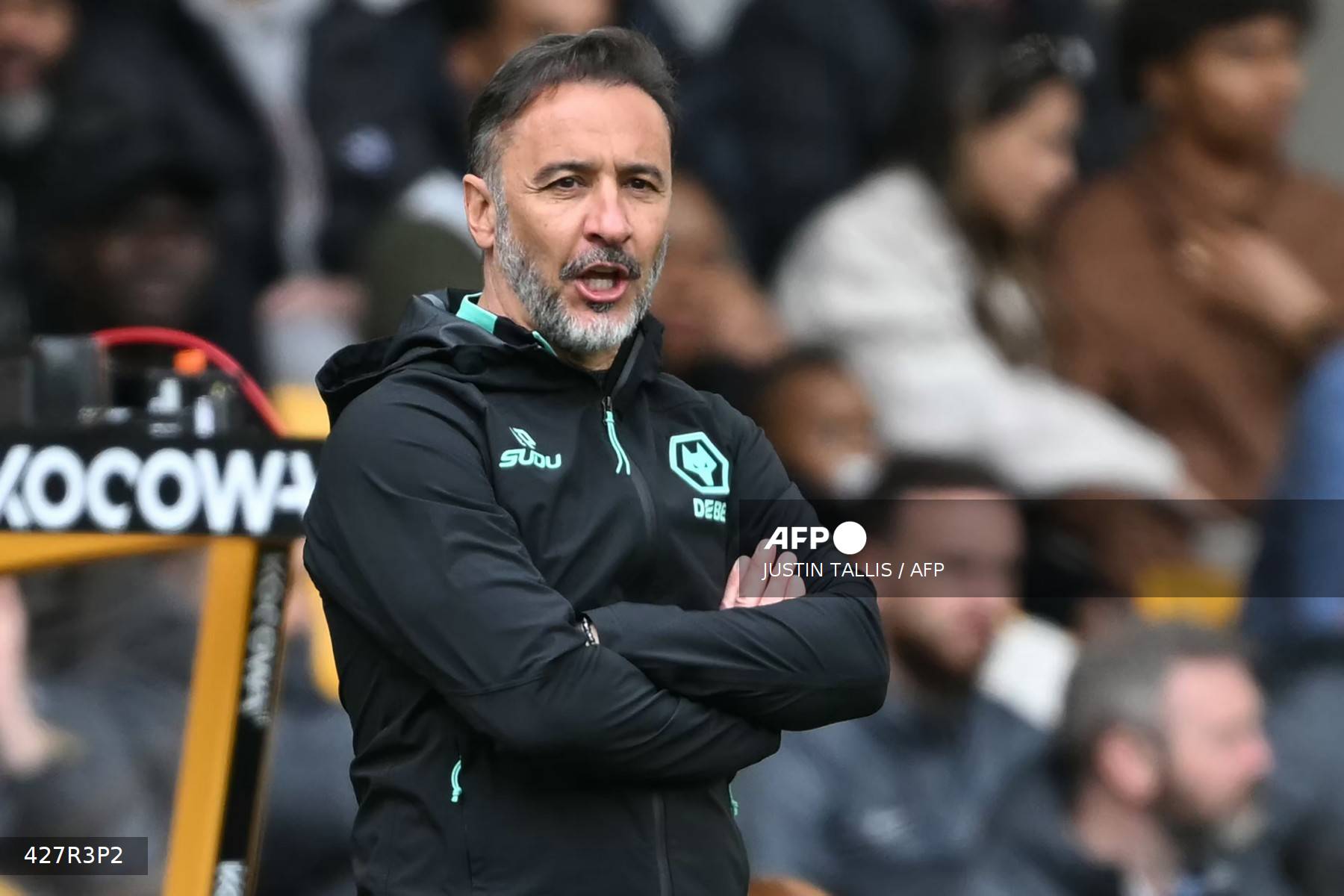 Vitor Pereira