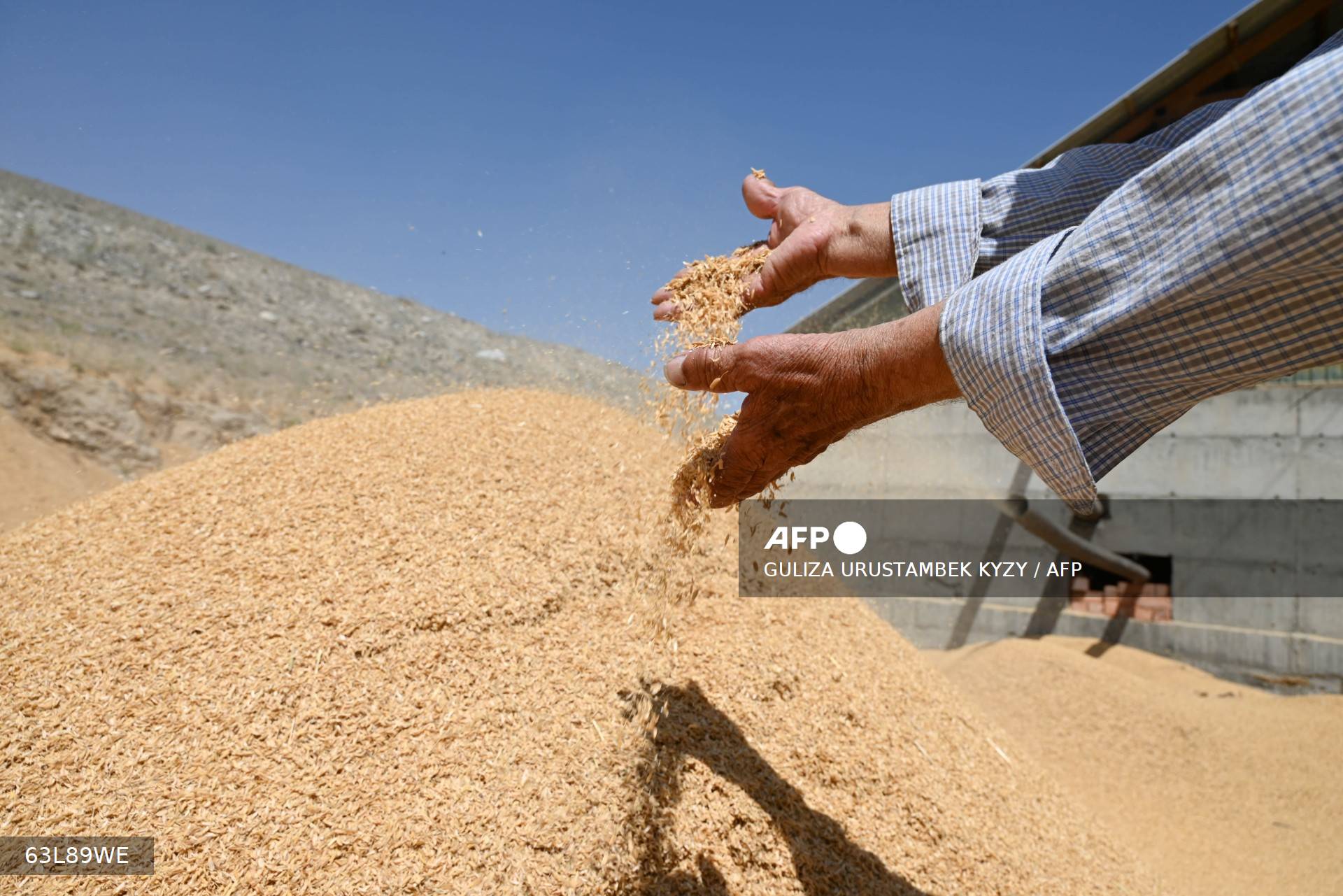 Así son las casas ecológicas hechas con cáscara de arroz