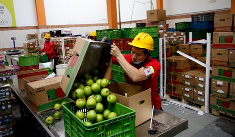 Alimentos