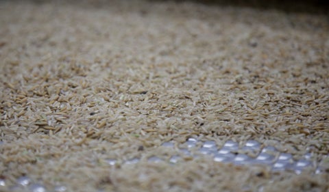 Arroz