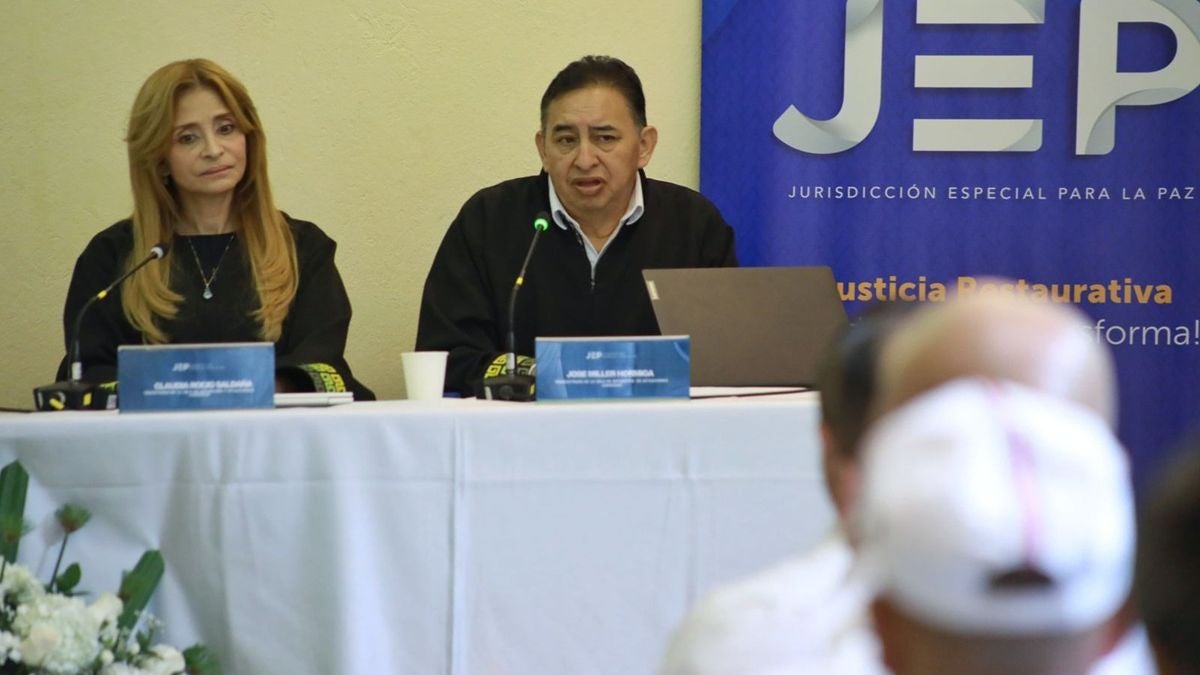 Audiencia - JEP -2025