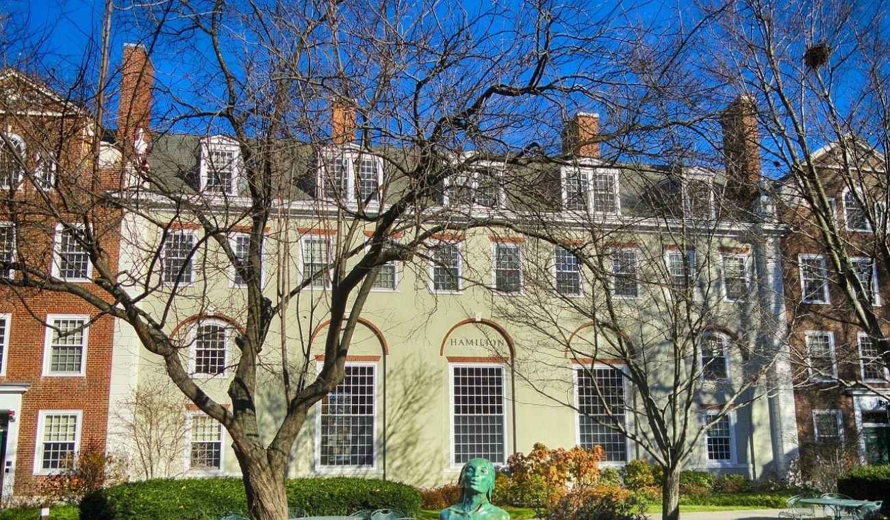 ¿Cómo hacer una HOJA de VIDA tipo HARVARD?